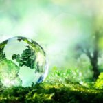 Sürdürülebilir Yaşam: Çevre Dostu Alışkanlıklar Edinmenin Yolları