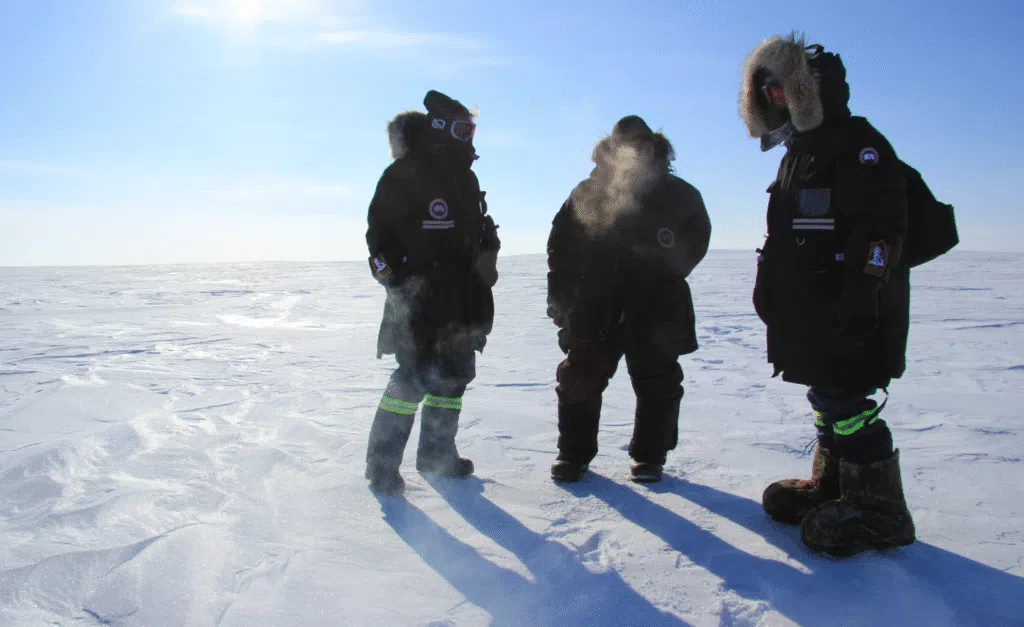 Yılın En İyi Belgesel Filmleri: 2025’te İzlemeniz Gereken 10 Belgesel 7 Inside the Arctic