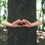 Sağlıklı İlişki