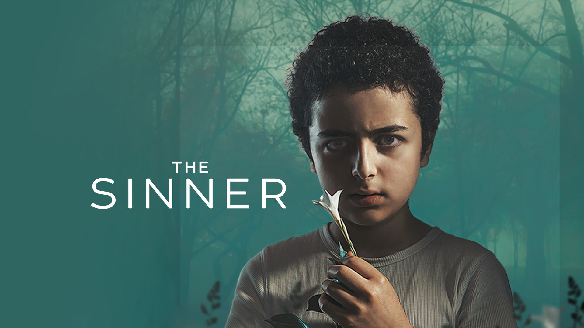 Polisiye ve Suç Türünde En Sürükleyici Diziler 5 The Sinner